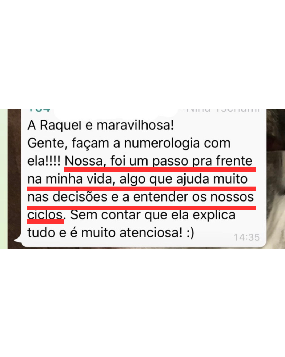Depoimento real de aluna sobre a numerologia de Raquel Vieira