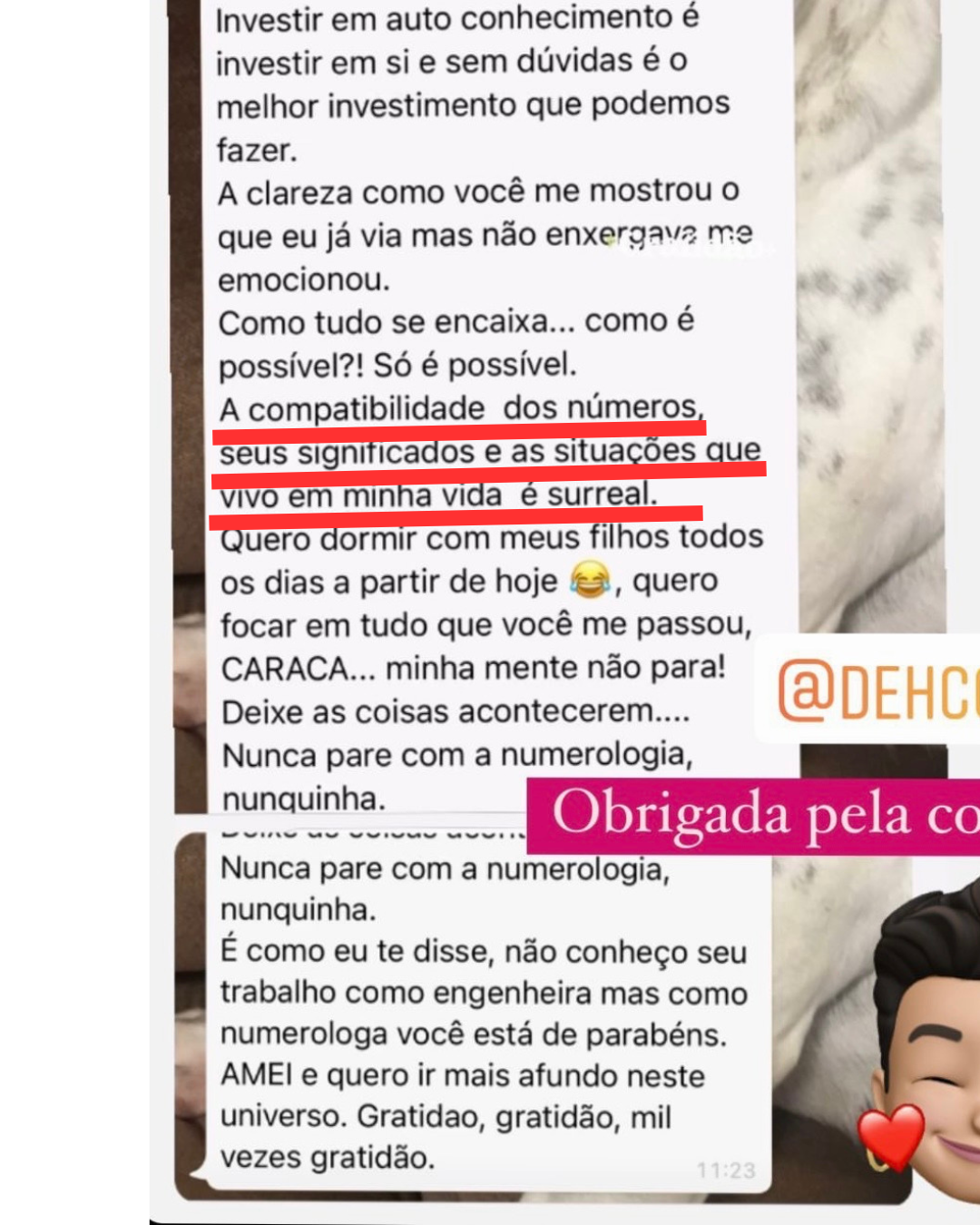 Depoimento real de aluna sobre a numerologia de Raquel Vieira